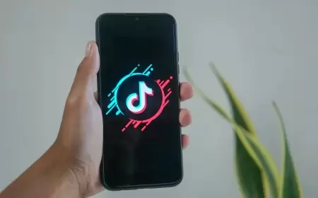 TikTok Under EU Investigation for Possible Violations of New Digital Regulations