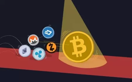 The Best Cryptocurrency to Invest $1,000 in Right Now