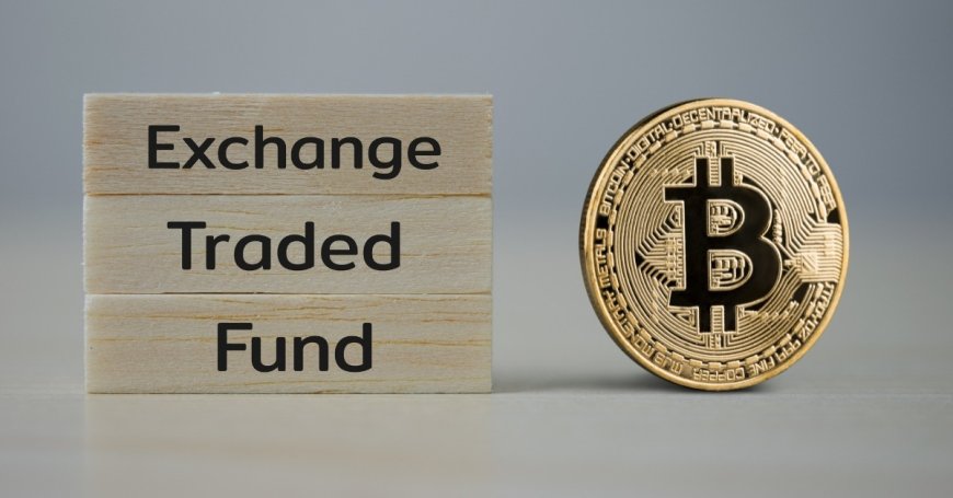 Bitcoin ETFs: Pros, Cons, and Investment Insights