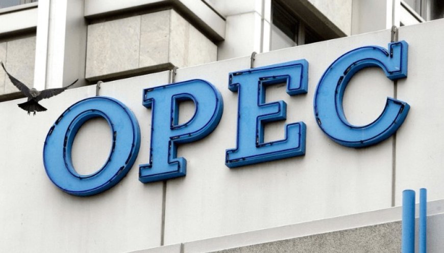 OPEC Affirms Strong Oil Demand Growth Projections for 2024-2025