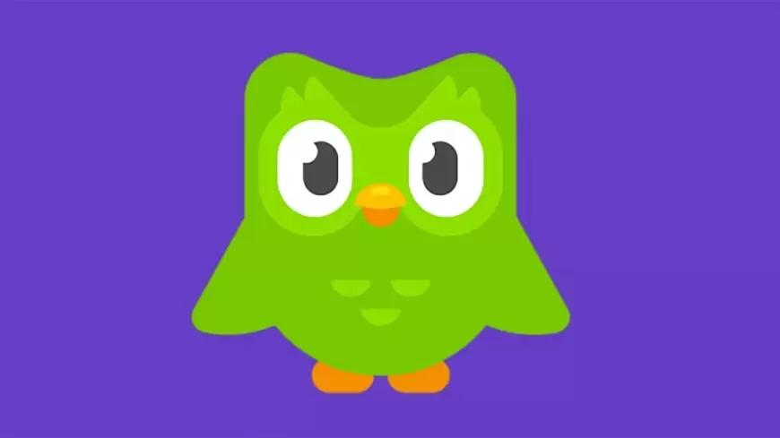 Duolingo Stock Surges on Strong Revenue Forecast Driven by Online Learning and AI Integration