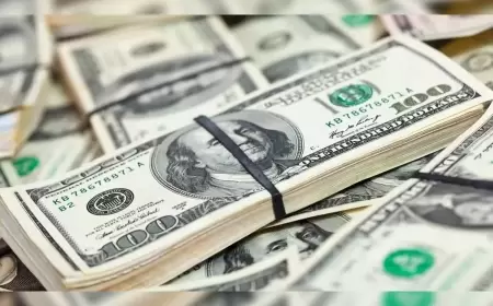 Forex Dollar Holds Firm Against Euro as Investors Anticipate ECB and US Economic Data, Bitcoin Reaches Near-Record High