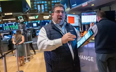 Global Stock Markets Rally Amid Expectations of Central Bank Rate Cuts
