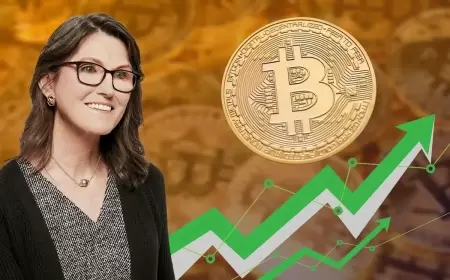 Cathie Wood's Top Cryptocurrency Pick: Anticipated 3,353% Surge - A Must-Buy Opportunity!