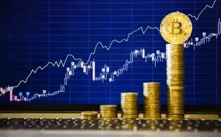 Expert Recommends Adding Bitcoin to Investment Portfolios