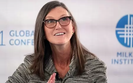 Ark Invest Dumps Nvidia for The Trade Desk: Betting Big on AI Growth