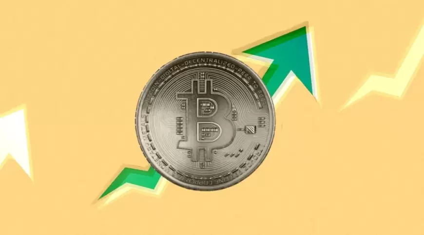 Fidelity Investments Anticipates Another $500 Billion Surge in Value for Leading Cryptocurrency