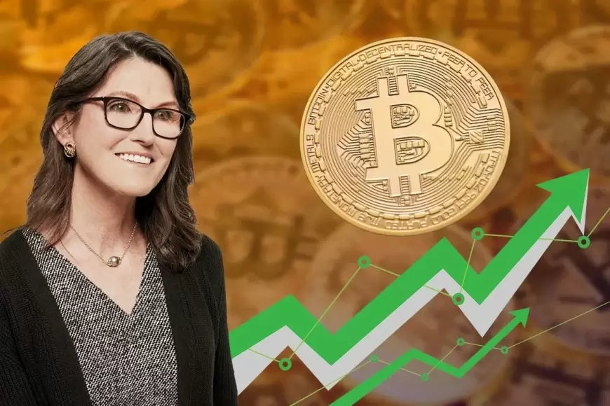 Cathie Wood's Top Cryptocurrency Pick: Anticipated 3,353% Surge - A Must-Buy Opportunity!