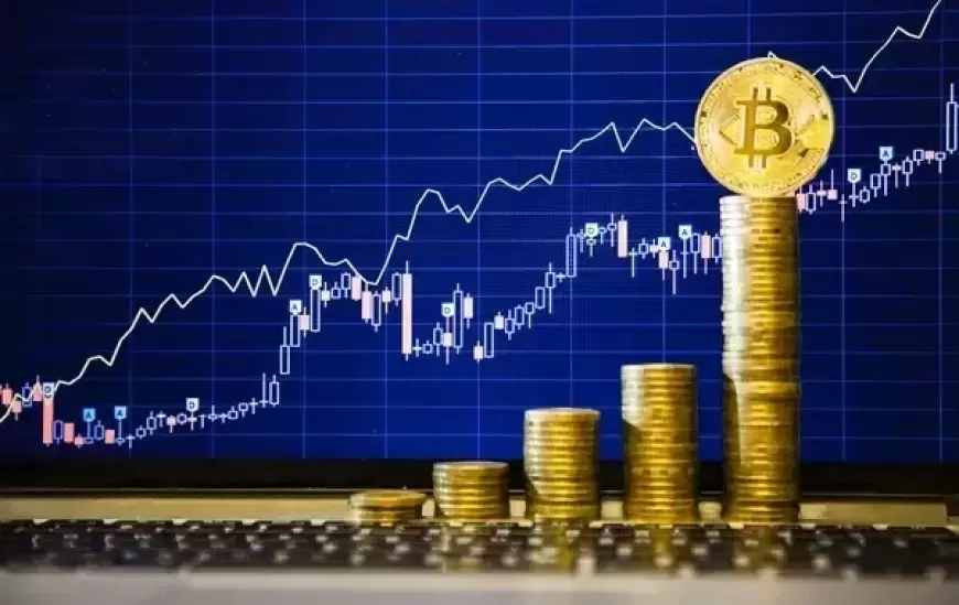 Expert Recommends Adding Bitcoin to Investment Portfolios