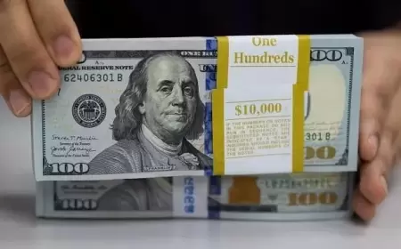 Dollar Reaches Highest Point in 5 Months, Yen Gets Verbal Support