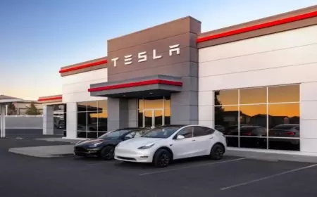 Tesla Commences Production in Germany for Export to India, Sources Say