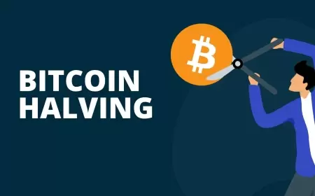 Investing in Bitcoin Before the Halving: Is It Worth It?