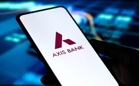 Bain Capital Plans $429M Stake Sale in India's Axis Bank