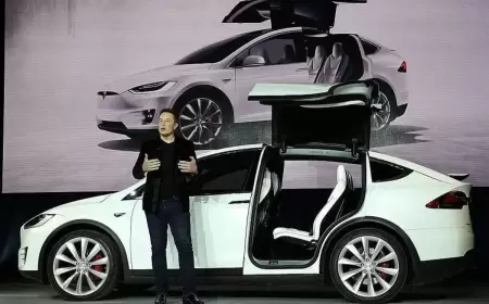 Tesla Puts Mexico and India Factory Plans on Hold for Affordable Cars!