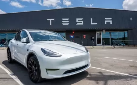 Tesla Stock Surges as Company Commits to Accelerate Launch of Affordable Cars