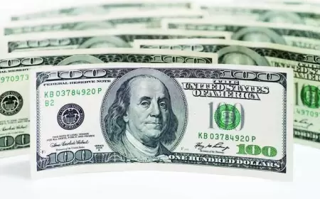 US Dollar Slips as Investors Await Fed's Decision Amidst Yen's Rollercoaster Ride