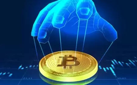 5 Reasons Why Bitcoin's Value Could Keep Rising