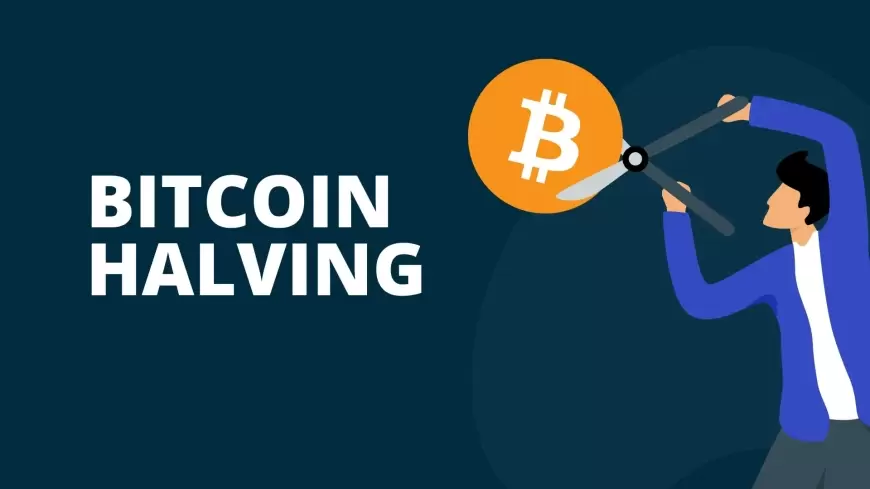 Investing in Bitcoin Before the Halving: Is It Worth It?
