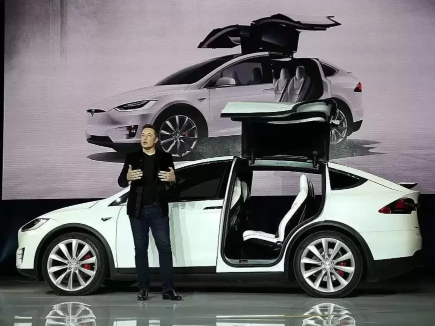 Tesla Puts Mexico and India Factory Plans on Hold for Affordable Cars!