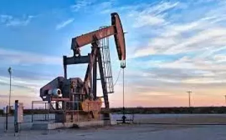 Oil Markets Anticipate Steepest Weekly Slide Since February Amid Geopolitical Calm