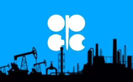 OPEC Adopts New Approach in Oil Market Analysis, Prioritizing OPEC+ Demand