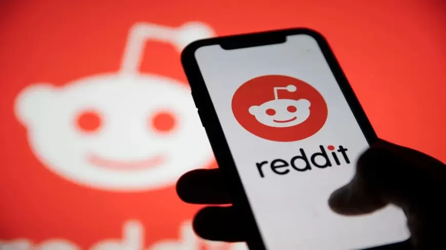 Reddit CEO Owns Majority of Class A Shares, Filing Reveals