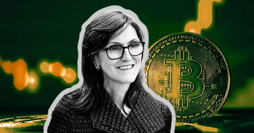 Cathie Wood Warns Investors Against Certain Bitcoin ETFs