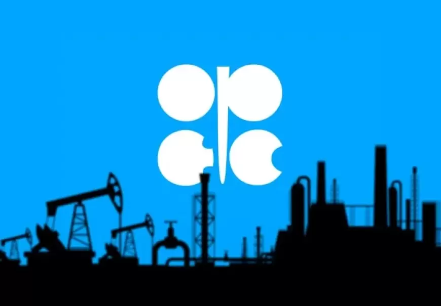OPEC Adopts New Approach in Oil Market Analysis, Prioritizing OPEC+ Demand
