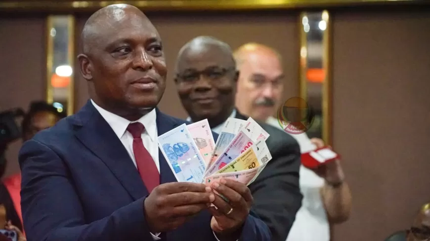 Zimbabwe Tries to Boost Confidence in Its New Currency ZiG