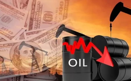 Oil Prices Fall as US Stockpiles Drop and Hurricane Beryl Hits