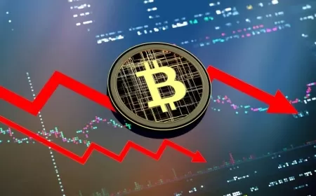 Investors Infuse $438 Million into Bitcoin ETFs as Bitcoin Prices Drop