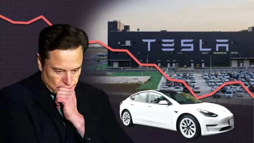 Tesla Stock Drops 10% After Mixed Q2 Results; Affordable EVs and Robotaxi Reveal Set for 2025