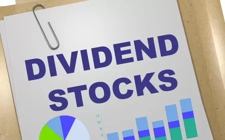 Top 3 High-Yield Dividend Stocks to Invest $5,000 in 2024