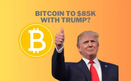 Bitcoin May Hit $85,000 by Year-End, Driven by 2024 US Election Impact