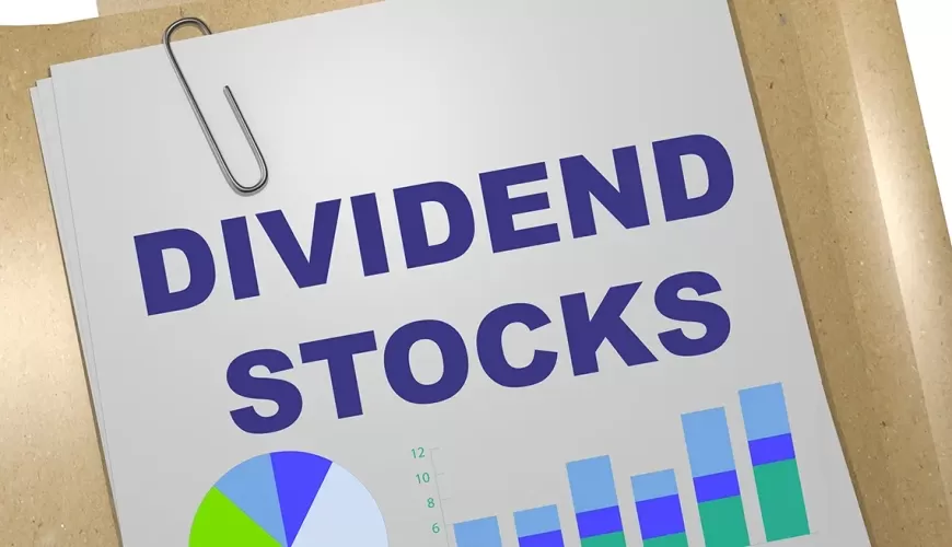 Top 3 High-Yield Dividend Stocks to Invest $5,000 in 2024