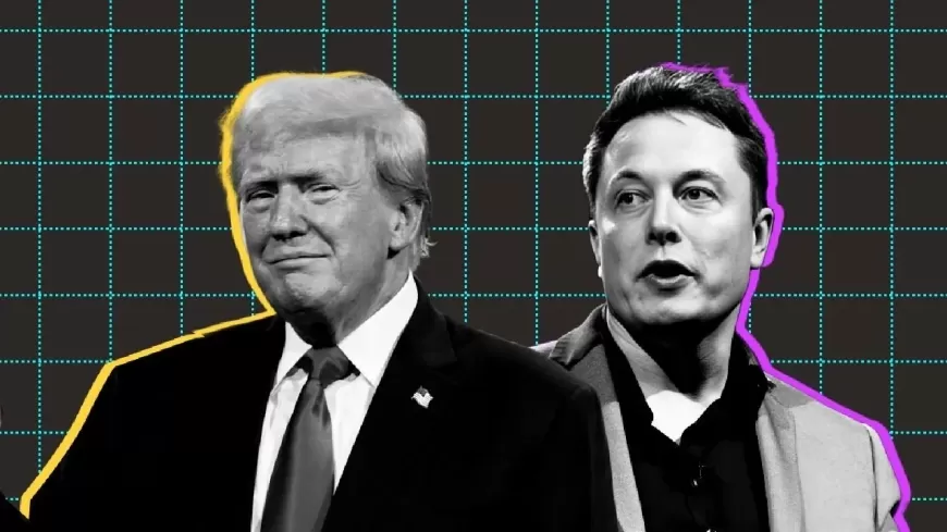 Elon Musk Proposes Role in Trump Administration During Virtual Discussion