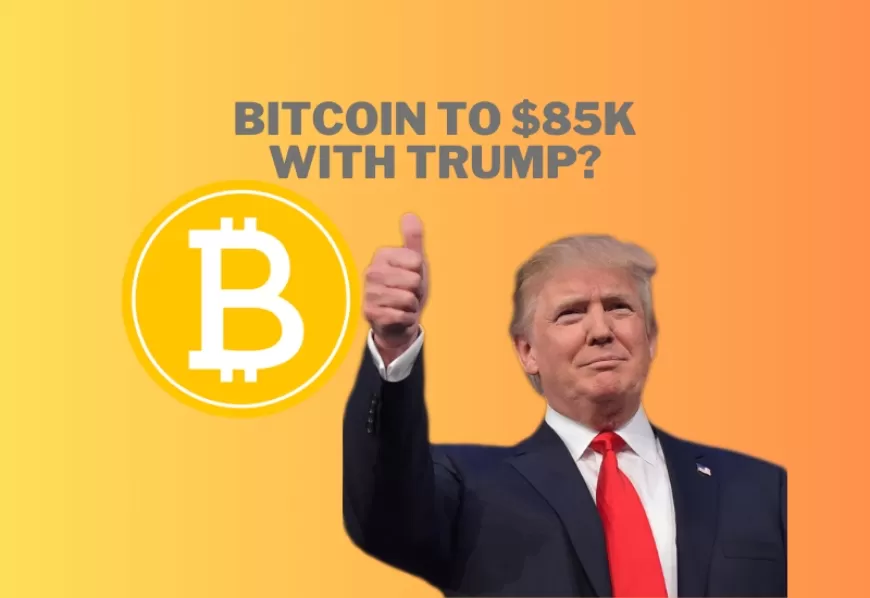 Bitcoin May Hit $85,000 by Year-End, Driven by 2024 US Election Impact