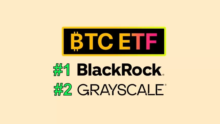 BlackRock's Bitcoin and Ether ETFs Surpass Grayscale for First Time in Assets