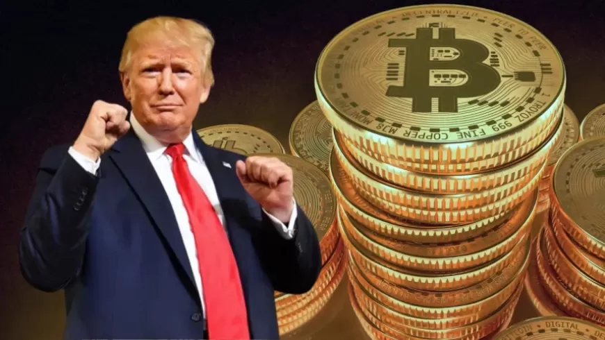 Could Donald Trump's $3.3 Million Crypto Investment Influence Voters?