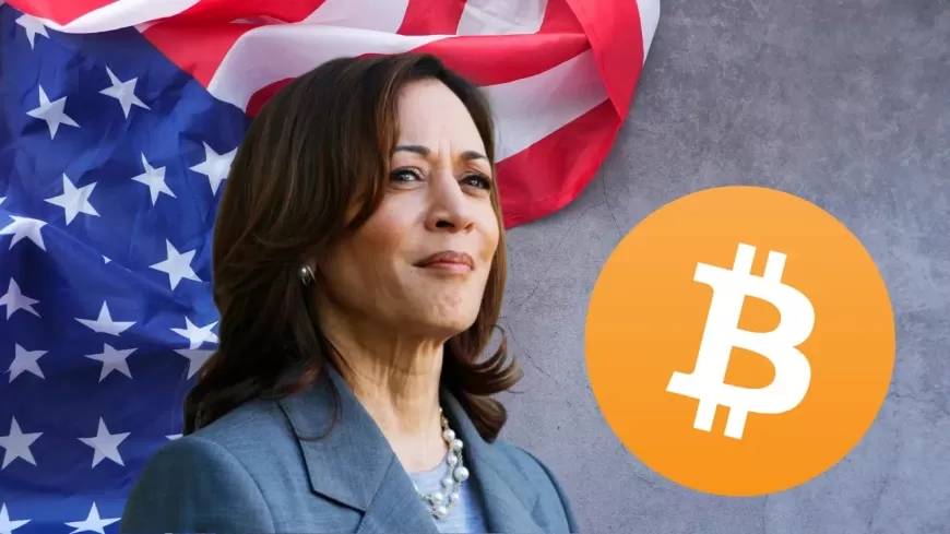 How a Democratic Victory in 2024 Could Impact Bitcoin, Altcoins, and the Cryptocurrency Market