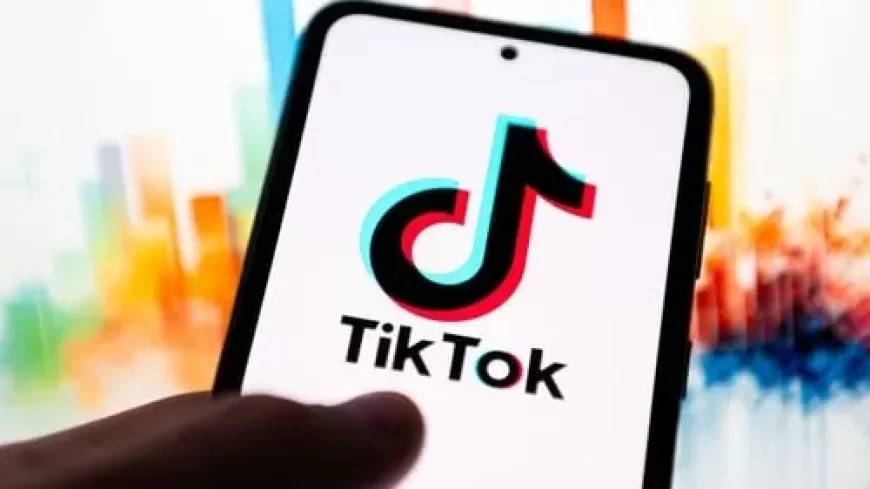 TikTok Faces Lawsuit Over 10-Year-Old Girl's Death After Viral Challenge, U.S. Court Rules