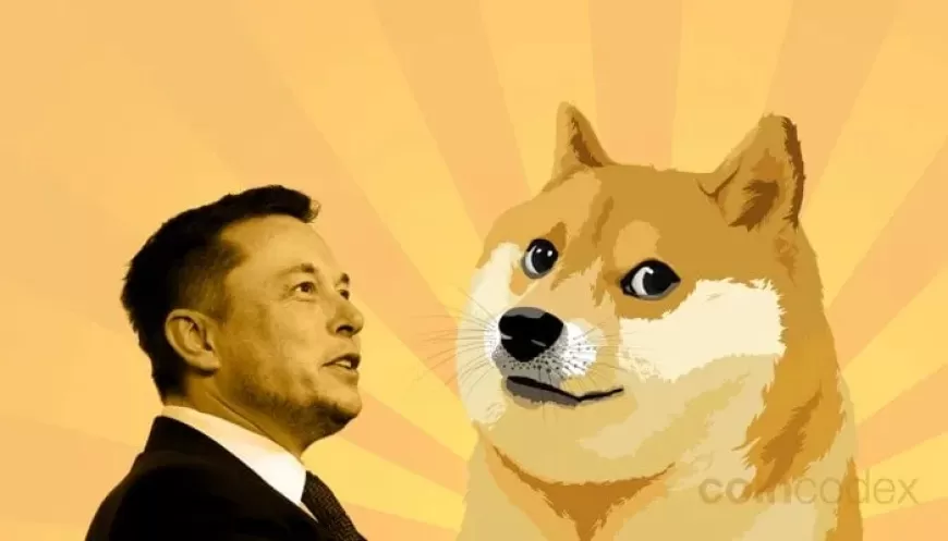 Elon Musk Wins Legal Battle Over Dogecoin ‘Pyramid Scheme’ Allegations