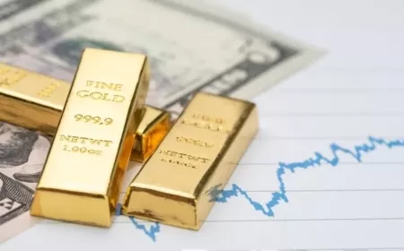 Gold Hits Record High as Investors Anticipate Federal Reserve’s Next Move