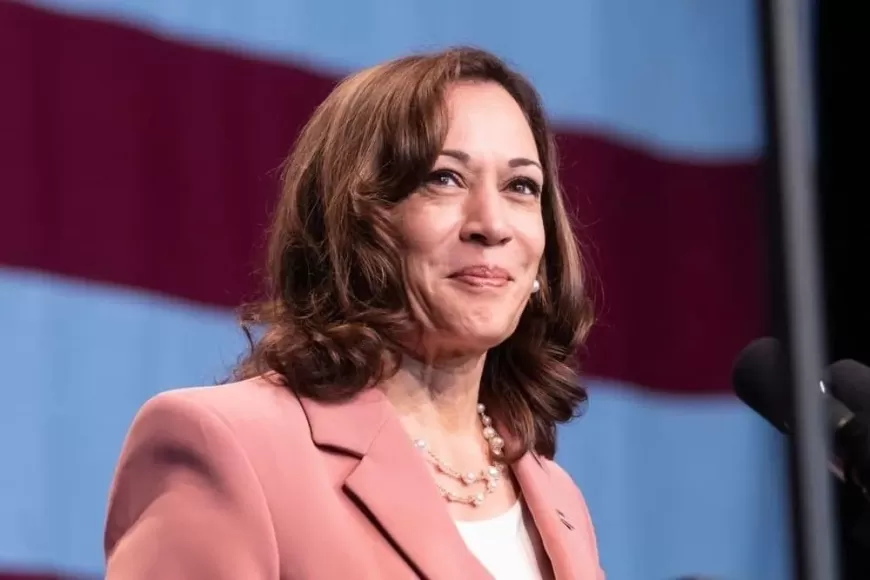 Kamala Harris Proposes Bigger Tax Breaks to Support New Small Businesses