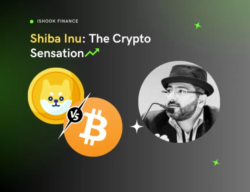 Shiba Inu Beats Bitcoin and Dogecoin with the Highest One-Year Returns