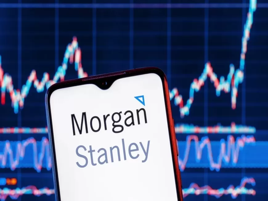 Earn $500 a Month with Morgan Stanley Stock: A Guide to Dividend Investing