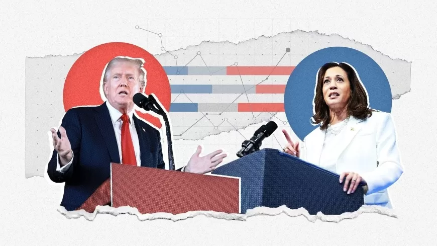 2024 US Election LIVE Updates: Is Donald Trump Set to Make History as the First Republican in 20 Years to Win the Popular Vote?