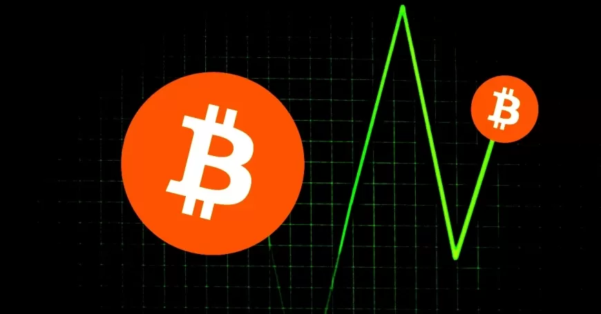 Bitcoin Hits Record High After U.S. Election – Is Crypto Now Outperforming Stocks?