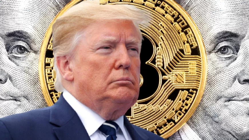 Bitcoin Surpasses $80,000 After Trump’s Election Win: What’s Next for Crypto