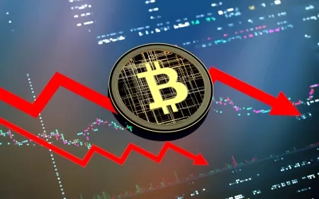 Bitcoin Posts First Weekly Drop in Months Amid Fed Rate Hikes
